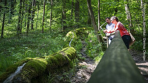 An der hölzernen Abgrenzung an der Steinernen Rinne lehnt eine Frau mit geflochtenem Zopf und rotem Shirt. Ein Mann mit Bart und weißem Hemd steht dahinter. Zudem hat man einen guten Blick auf die Steinerne Rinne, ein Kalkgestein, die mit grünen Moos bedeckt ist. Der Wald dahinter erstrahlt im satten dunkelgrün.