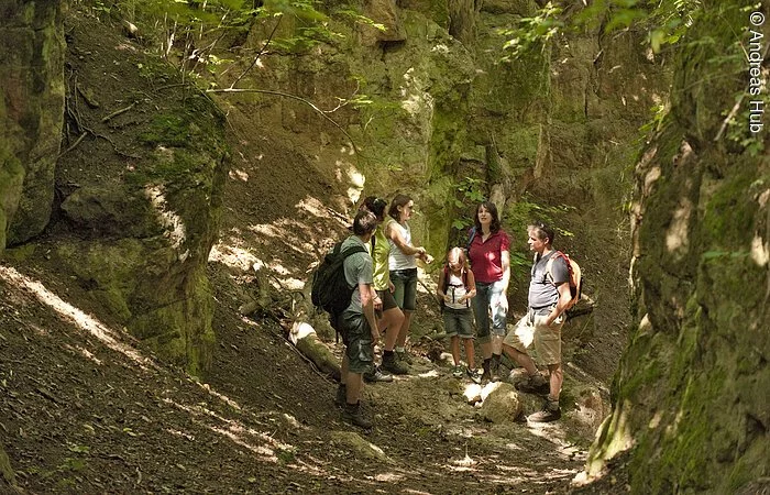 Eine Familie wandert auf dem Hohlweg bei Hechlingen. Die Familie steht umgeben von hohen Felsen im Wald.
