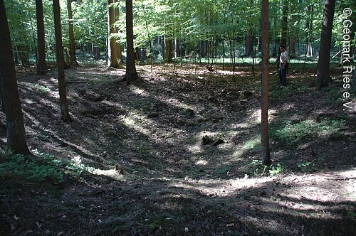 In einem Wald befindet sich eine große, flache Mulde.