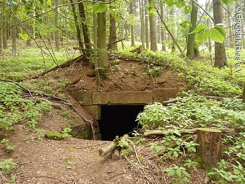 Unter einem Hügel im Wald befindet sich ein Keller mit gemauertem Eingang.
